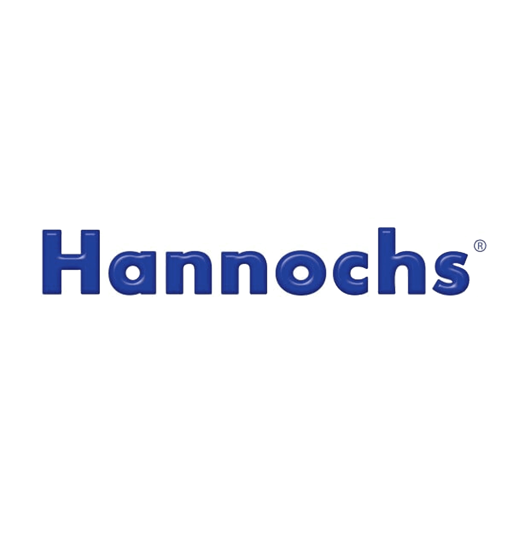 Logo Pt Hannochs