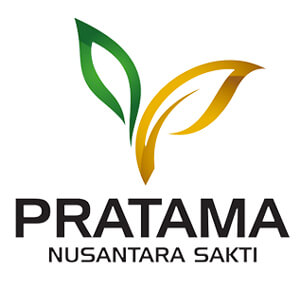 Logo Pratama Nusantara Sakti